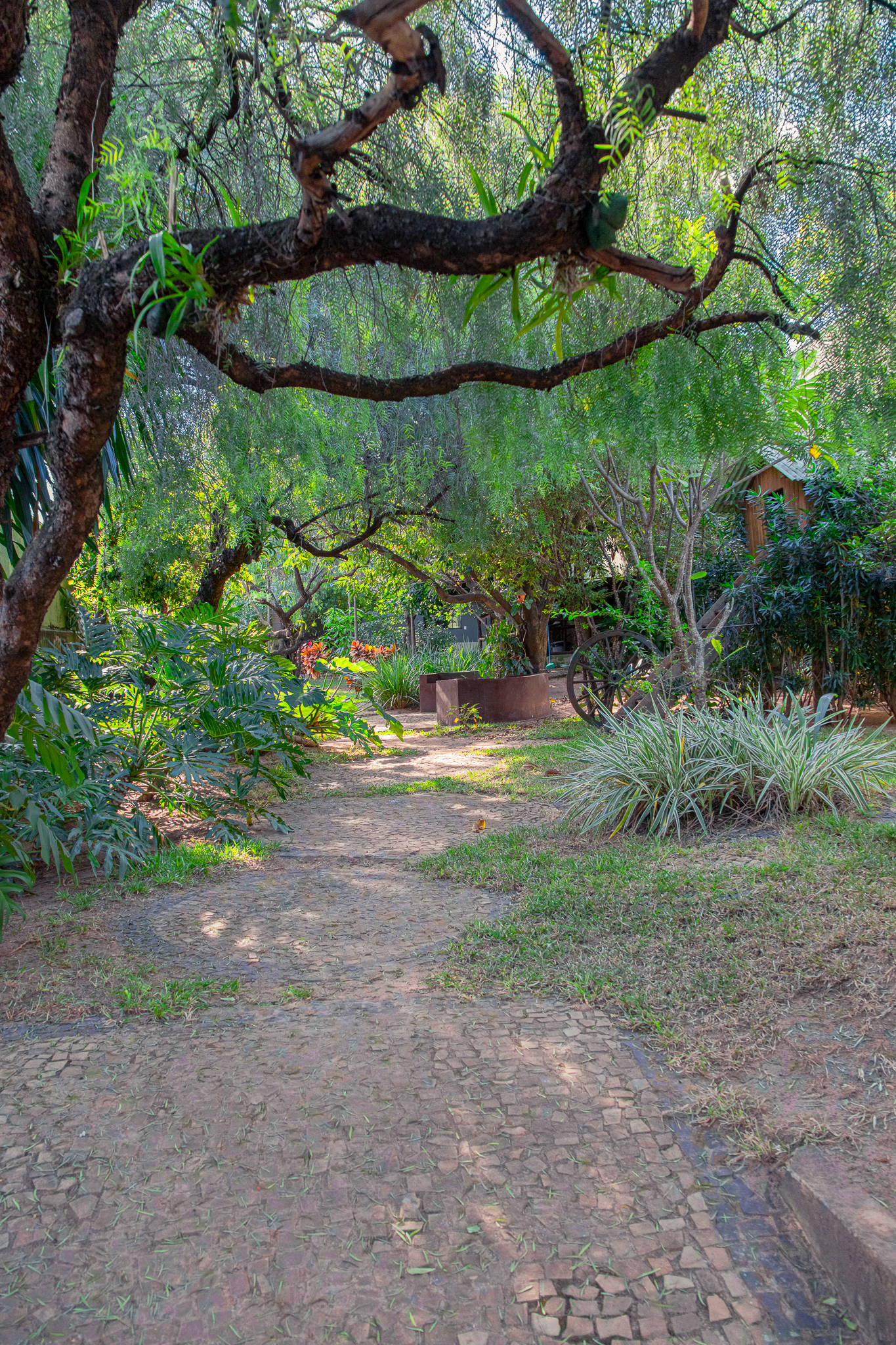 Área Verde do Colégio Jardins